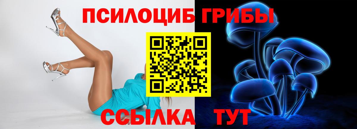 Псилоцибиновые грибы Psilocybe  Вход с VPN  Галлюциногенные грибы MAGIC MUSHROOMS  Троицк 